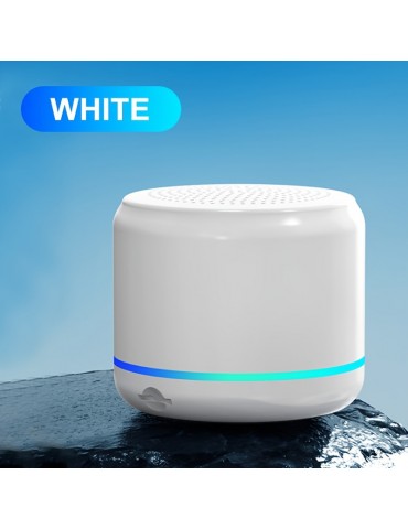 W15 Small Size And High-quality Wireless Speaker